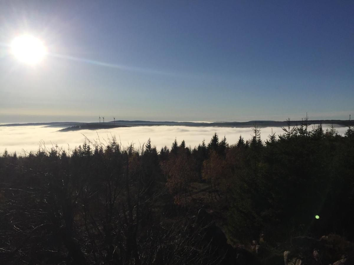 Erzgebirgsholzhaus Am Lugstein Villa Altenberg Eksteriør bilde